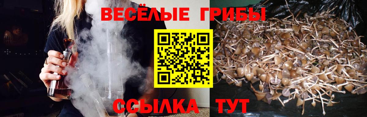 Анапа  наркотики  Галлюциногенные грибы мухоморы  Вход с VPN  Галлюциногенные грибы Psilocybine cubensis 